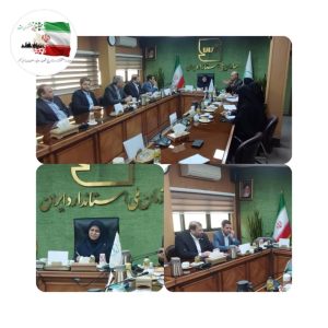 مدیرکل